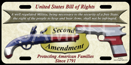 2nd Amendment Gun Rights